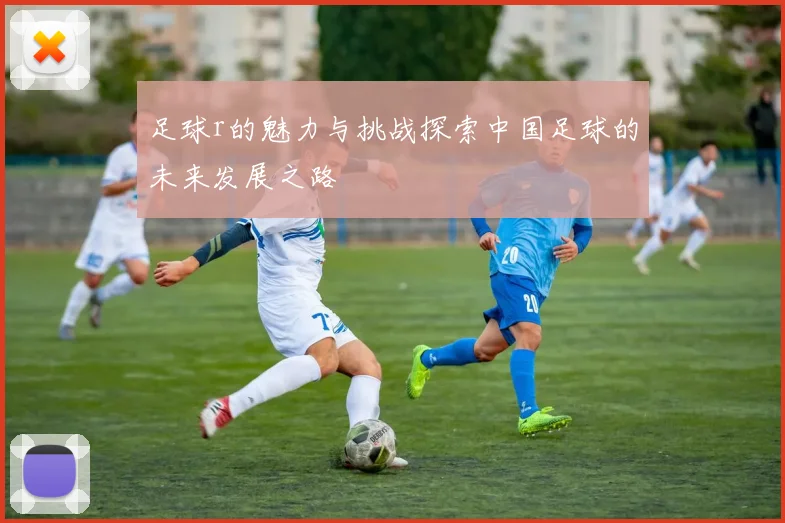 足球r的魅力与挑战探索中国足球的未来发展之路