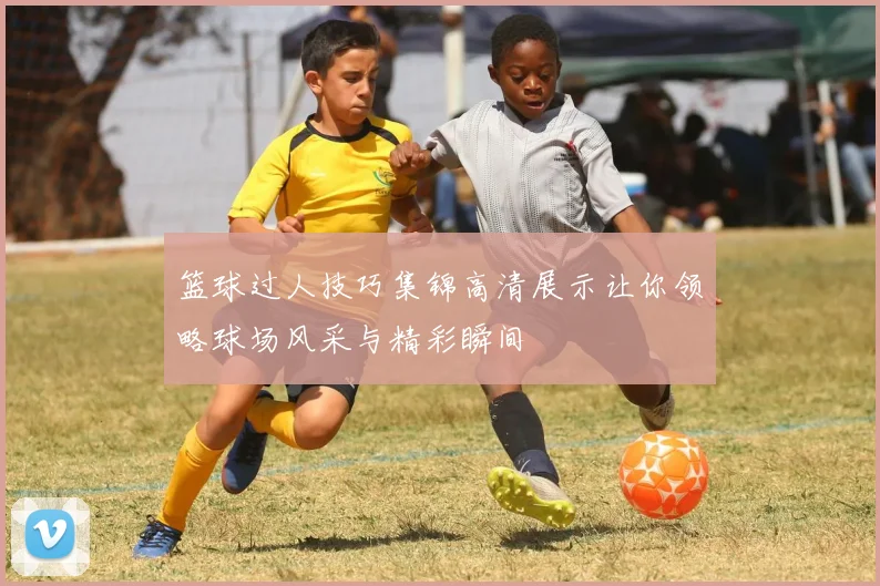篮球过人技巧集锦高清展示让你领略球场风采与精彩瞬间