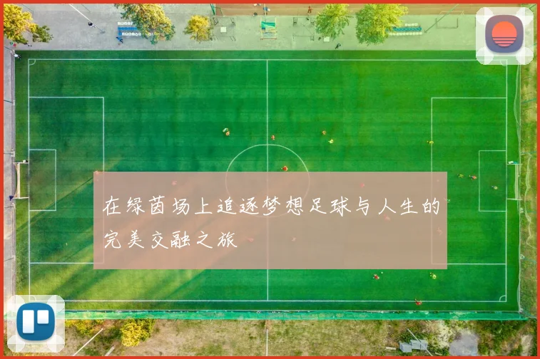 在绿茵场上追逐梦想足球与人生的完美交融之旅