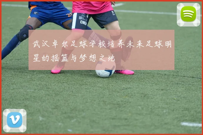 武汉卓尔足球学校培养未来足球明星的摇篮与梦想之地