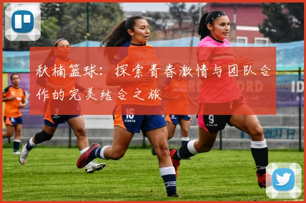 秋楠篮球：探索青春激情与团队合作的完美结合之旅