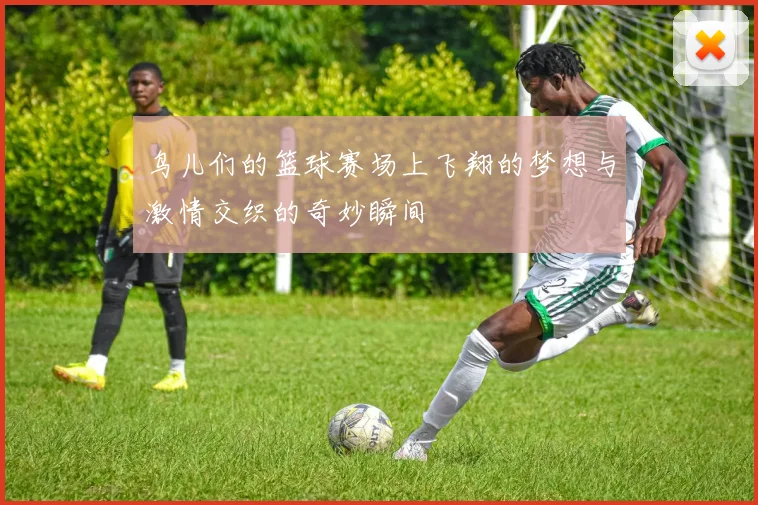 鸟儿们的篮球赛场上飞翔的梦想与激情交织的奇妙瞬间